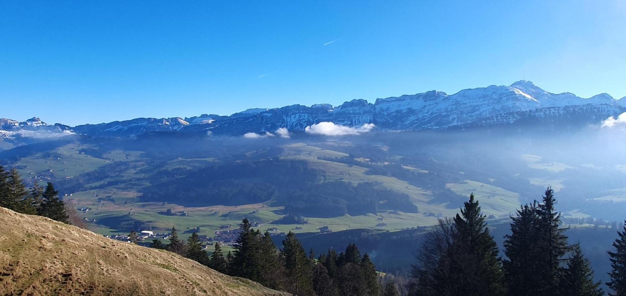 2-4 Zimmer Apartments Stilvoll Im Gertrud Schloessli - Zentral Ruhig St. Gallen Exteriér fotografie