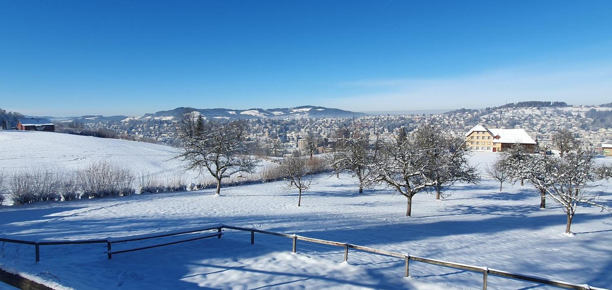 2-4 Zimmer Apartments Stilvoll Im Gertrud Schloessli - Zentral Ruhig St. Gallen Exteriér fotografie
