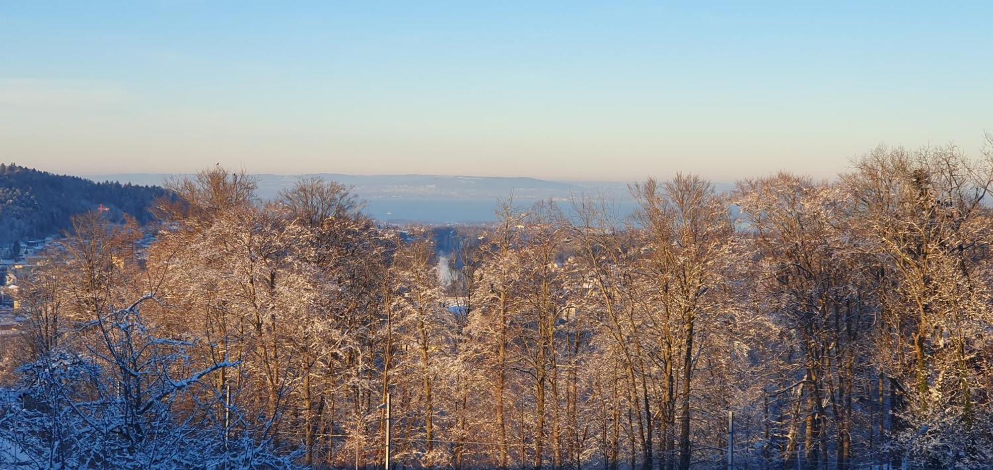 2-4 Zimmer Apartments Stilvoll Im Gertrud Schloessli - Zentral Ruhig St. Gallen Exteriér fotografie