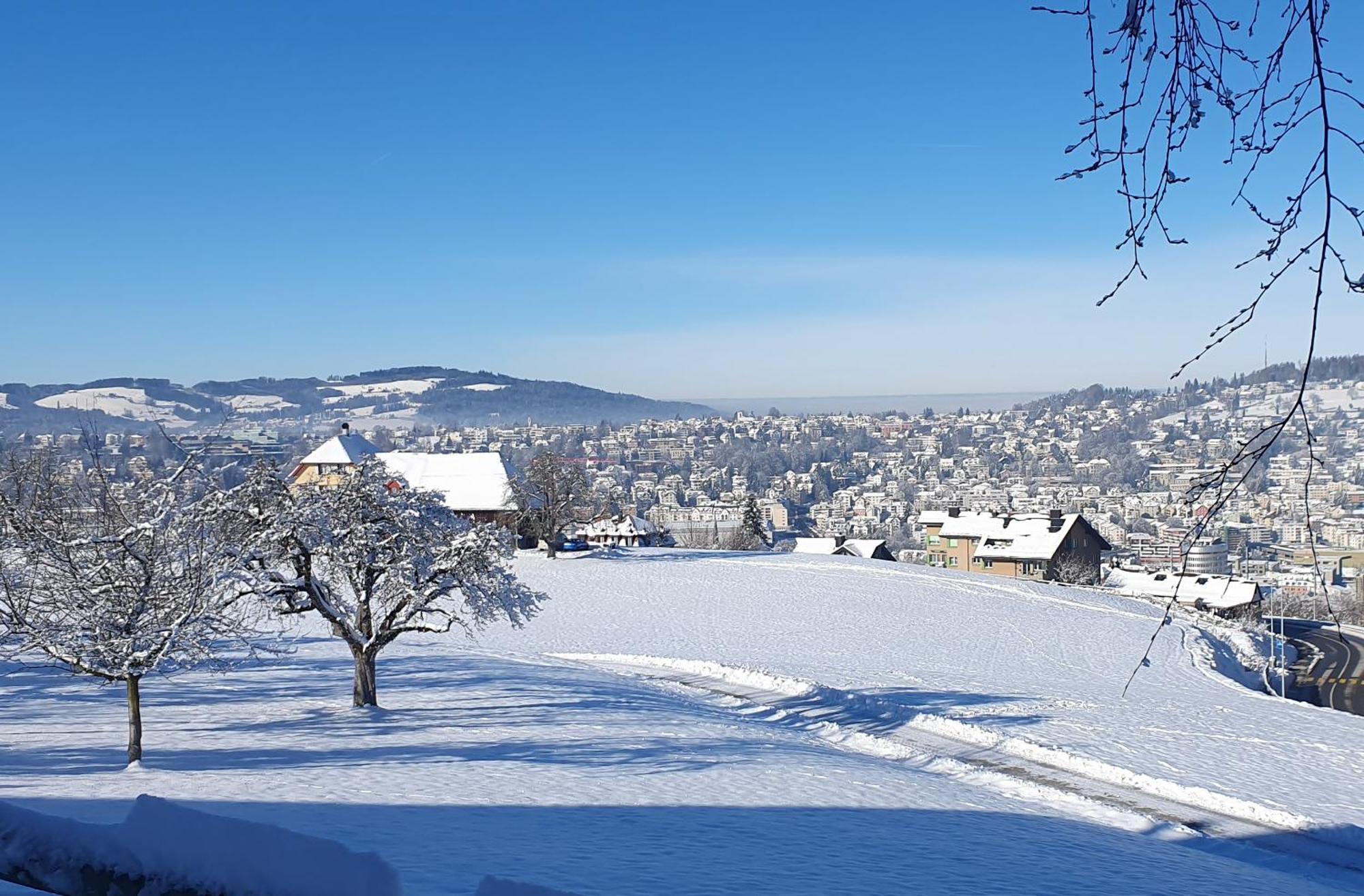 2-4 Zimmer Apartments Stilvoll Im Gertrud Schloessli - Zentral Ruhig St. Gallen Exteriér fotografie