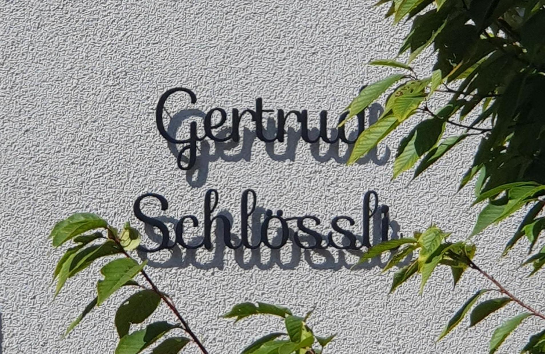 2-4 Zimmer Apartments Stilvoll Im Gertrud Schloessli - Zentral Ruhig St. Gallen Exteriér fotografie