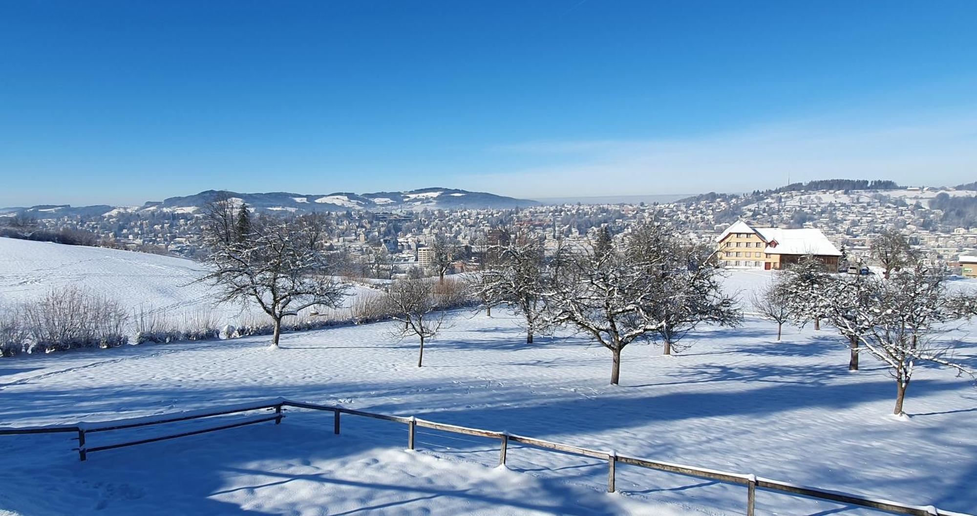 2-4 Zimmer Apartments Stilvoll Im Gertrud Schloessli - Zentral Ruhig St. Gallen Exteriér fotografie
